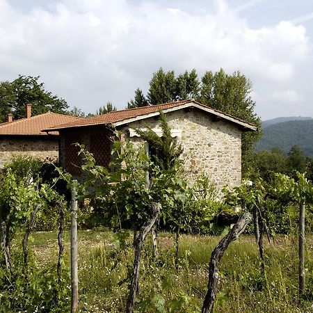 Agriturismo Castello Di Querceto Lucolena in Chianti Exteriér fotografie